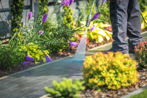 Best Parking Lot and Garage Cleaning  in Parkwood, CA